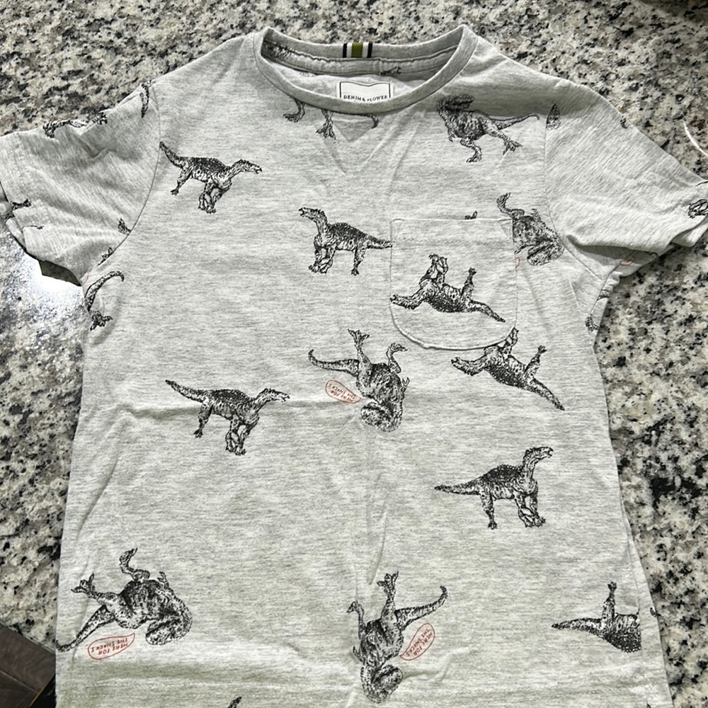 Kids Dino Shirt